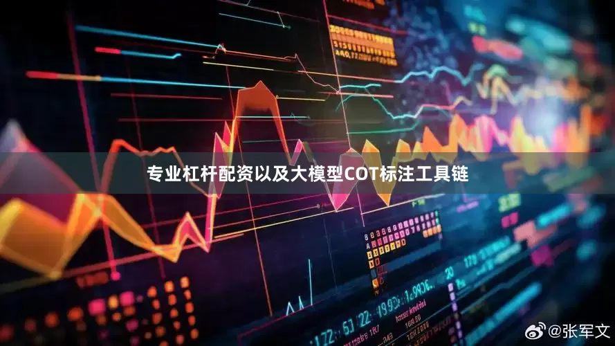 专业杠杆配资以及大模型COT标注工具链