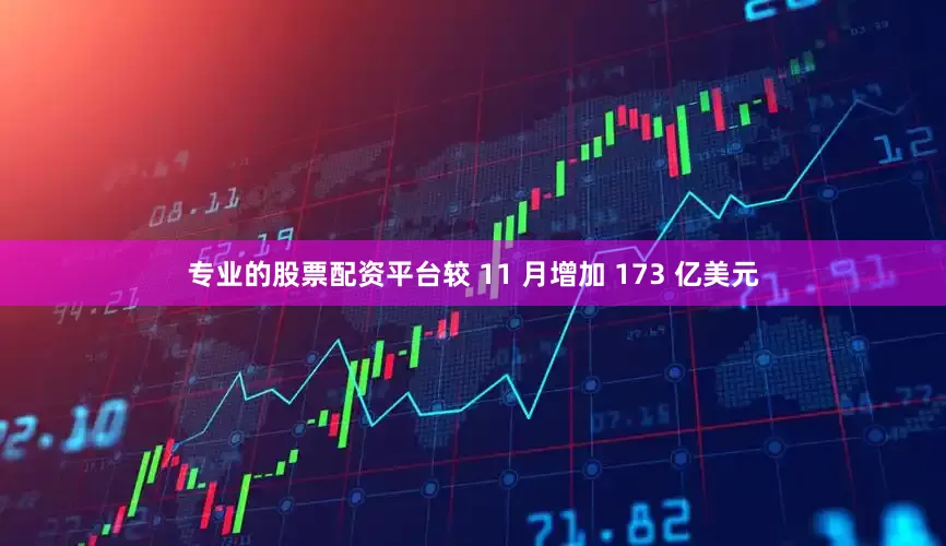 专业的股票配资平台较 11 月增加 173 亿美元