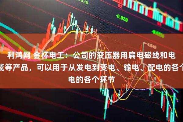 利鸿网 金杯电工：公司的变压器用扁电磁线和电力电缆等产品，可以用于从发电到变电、输电、配电的各个环节