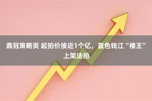 鼎冠策略资 起拍价接近1个亿，蓝色钱江“楼王”上架法拍