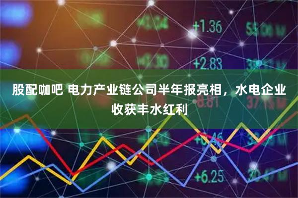 股配咖吧 电力产业链公司半年报亮相，水电企业收获丰水红利